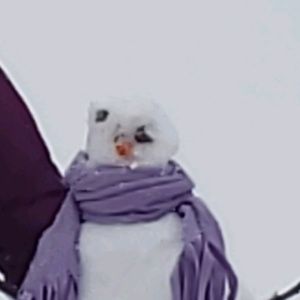 Meet your Posher, Annie